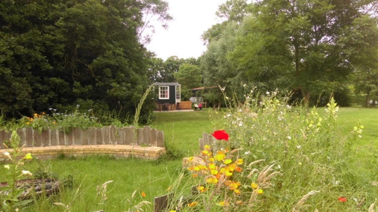 Pipowagen In Het Groen De Cocksdorp  Exterior photo